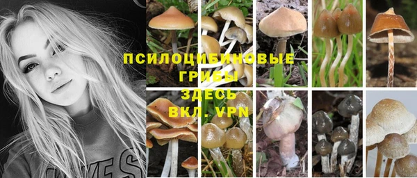 первитин Беломорск